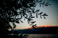 A day at Lake Garda to celebrate Ale's life