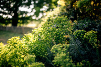 Two Grooms’ Spring Wedding at Morden Park House